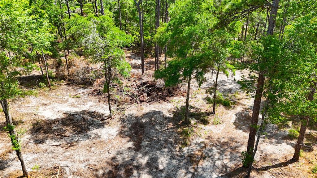 An elevated view of a wooded lot featuring sandy ground and a pile of brush — 0 WINDHAVEN LANE, BROOKSVILLE, FL