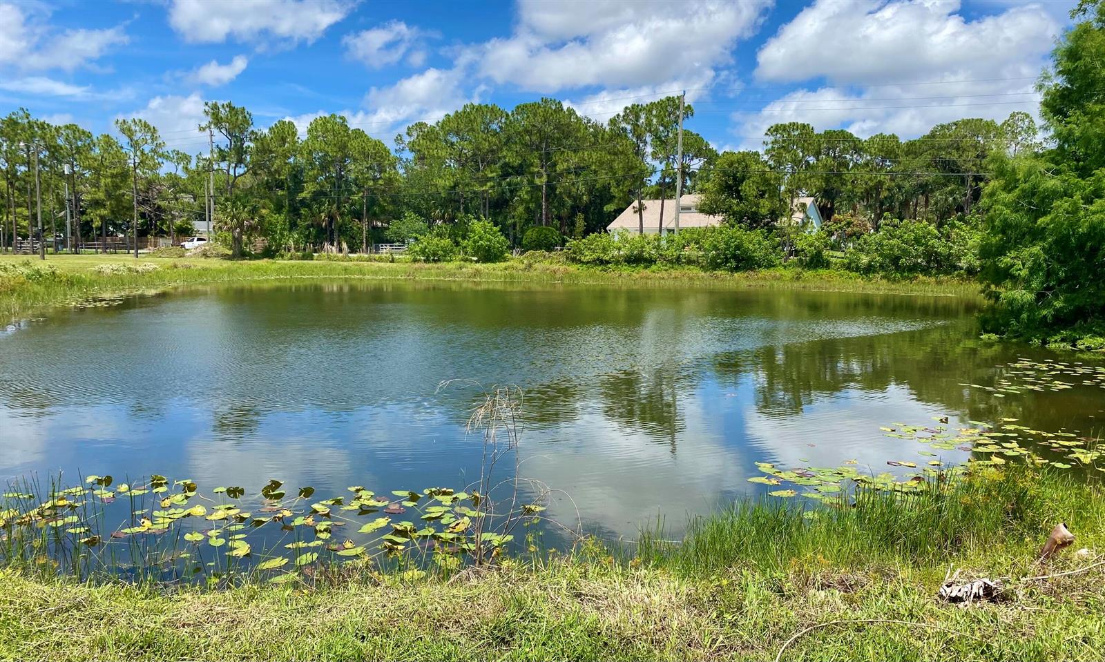 A pond with lily pads is surrounded by grassy banks and a line of trees — 10531 151st Lane N, Jupiter FL 33478, JUPITER, FL