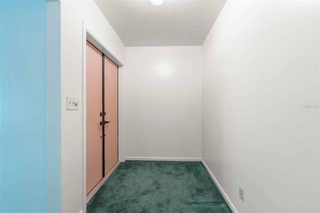 A small room with white walls, teal carpeting, and a set of pink double doors — 2616 S TORONTO AVENUE, TAMPA, FL
