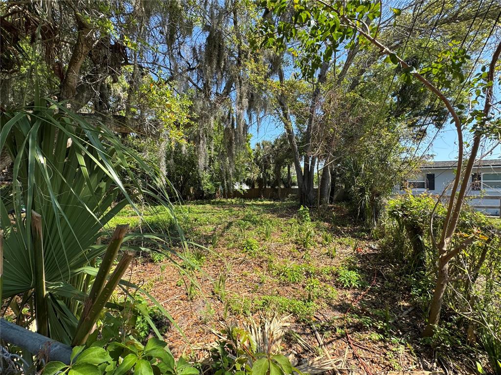 A vacant, overgrown lot is framed by mature trees and a chain-link fence — 1127 MARTHA DRIVE, DAYTONA BEACH, FL