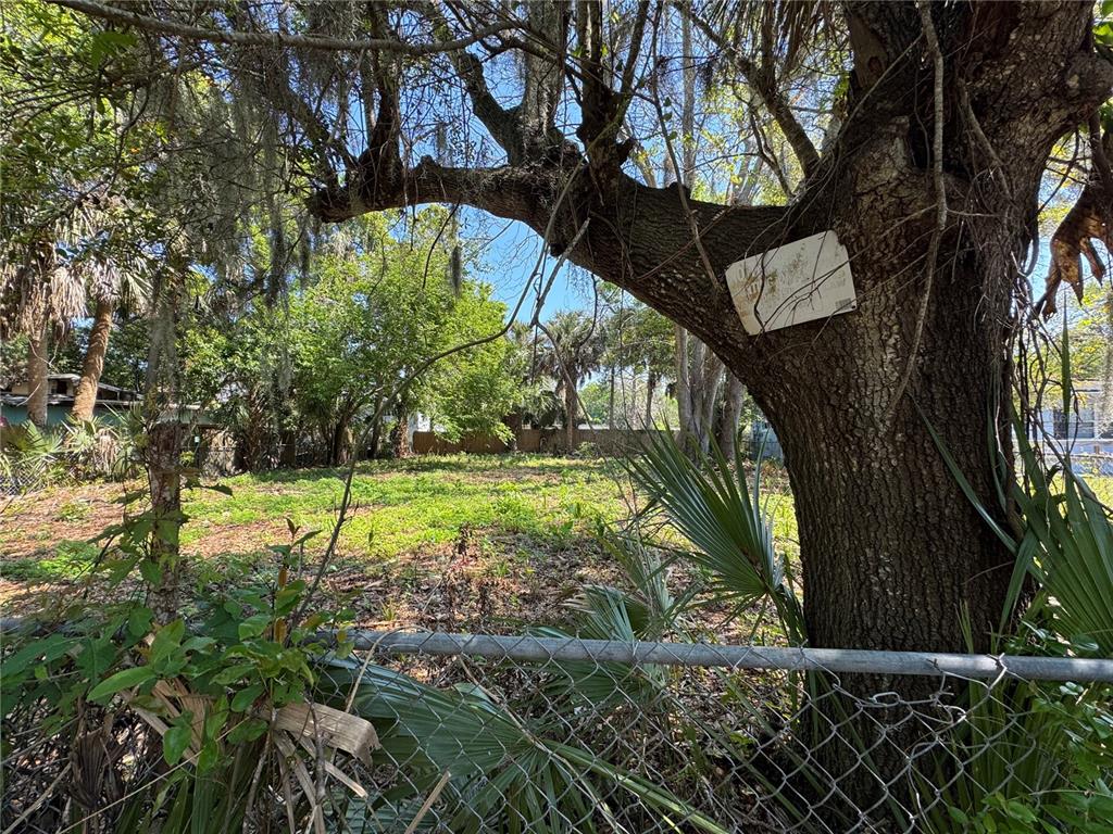 A chain-link fence borders a vacant, overgrown lot featuring a large tree with a sign — 1127 MARTHA DRIVE, DAYTONA BEACH, FL