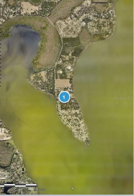 An aerial map view shows a peninsula of land surrounded by a large body of water — MOCKINGBIRD LANE, FRUITLAND PARK, FL