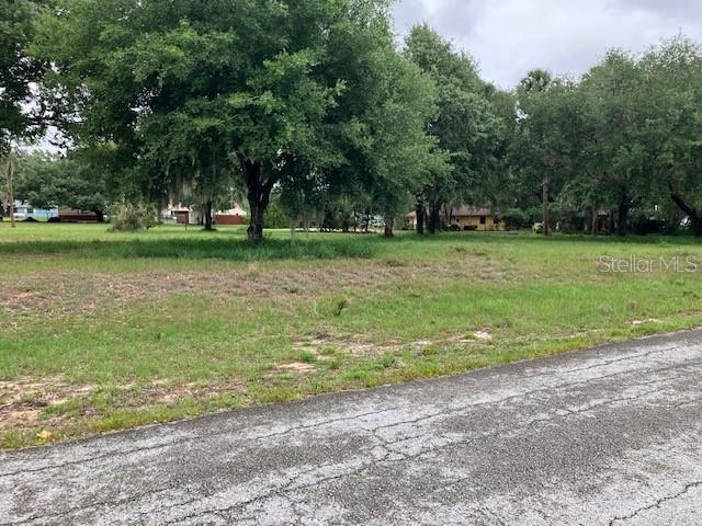A grassy, vacant lot with several large trees is viewed from an adjacent paved road — MOCKINGBIRD LANE, FRUITLAND PARK, FL