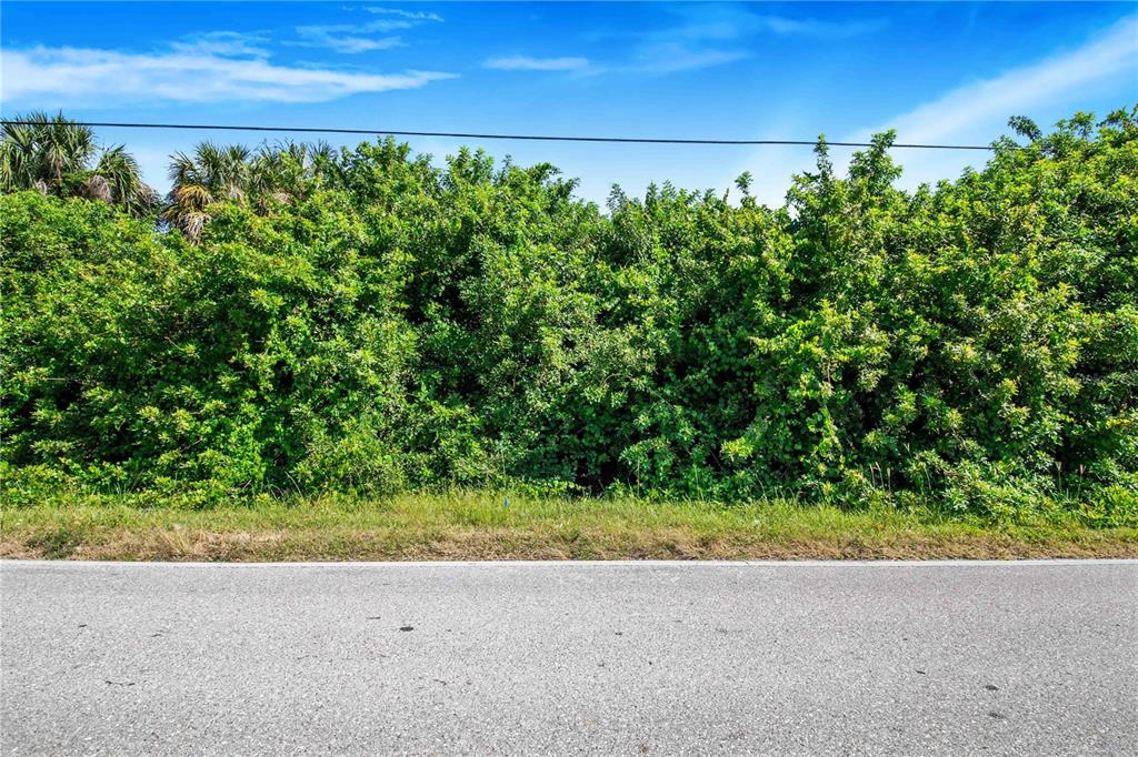 A paved road runs in front of a dense wall of green trees and bushes — 23108 & 23116 OLEAN BOULEVARD, PORT CHARLOTTE, FL