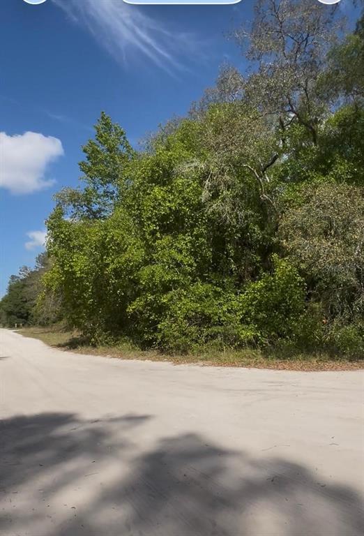 A dirt road curves past a dense patch of trees and foliage under a blue sky — NO SITUS, FORT MC COY, FL