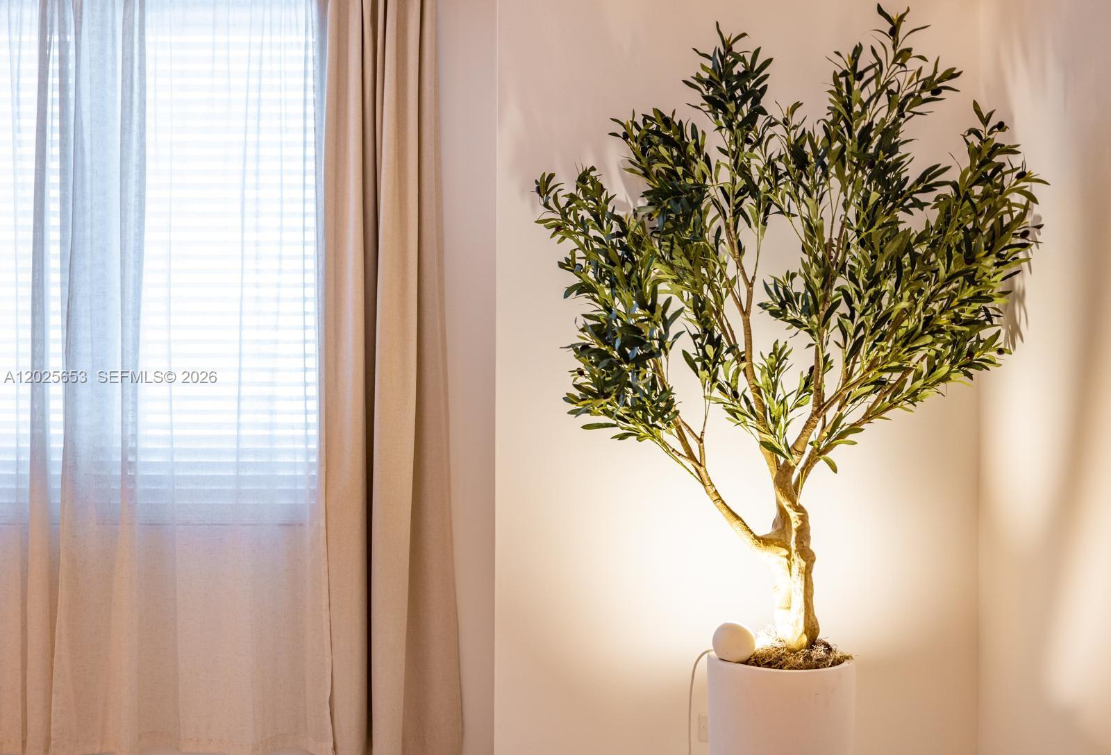 A potted artificial olive tree stands in the corner of a room near a window — 2301 Collins Ave # 519, Miami Beach FL 33139, MIAMI BEACH, FL