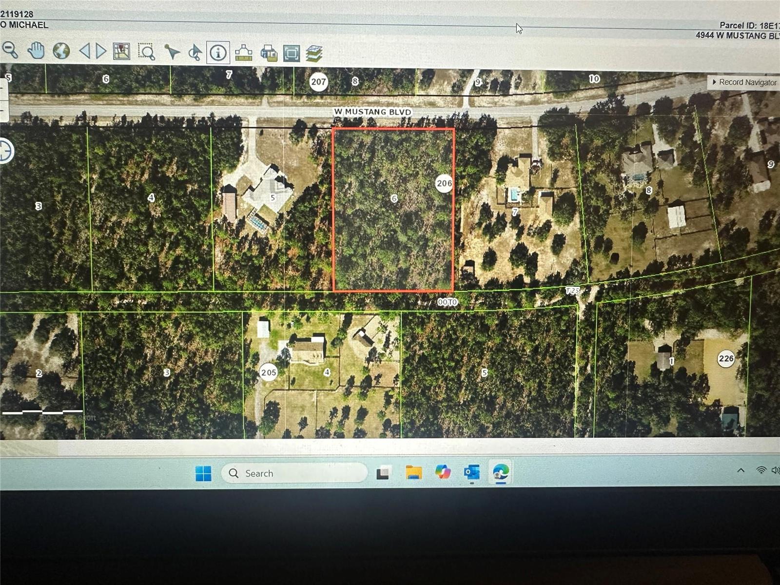 This is a satellite map view of a rectangular, wooded residential lot — 4944 W Mustang Boulevard, FL 34465, FL