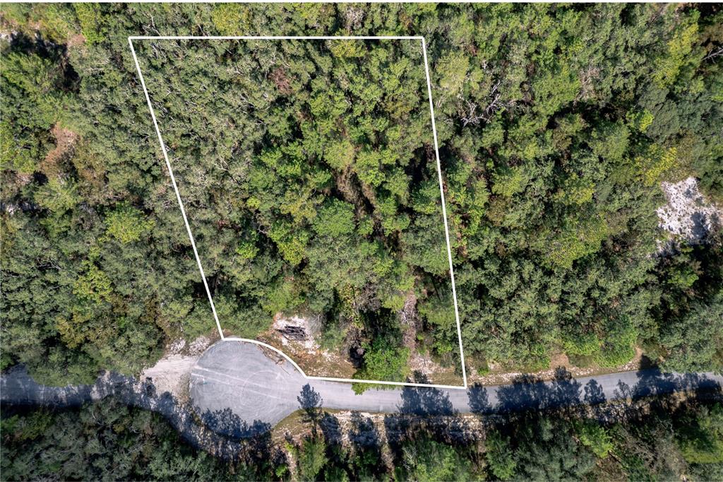 An aerial view shows a wooded, trapezoidal lot located at the end of a cul-de-sac — 0000 SW 174 STREET, OCALA, FL