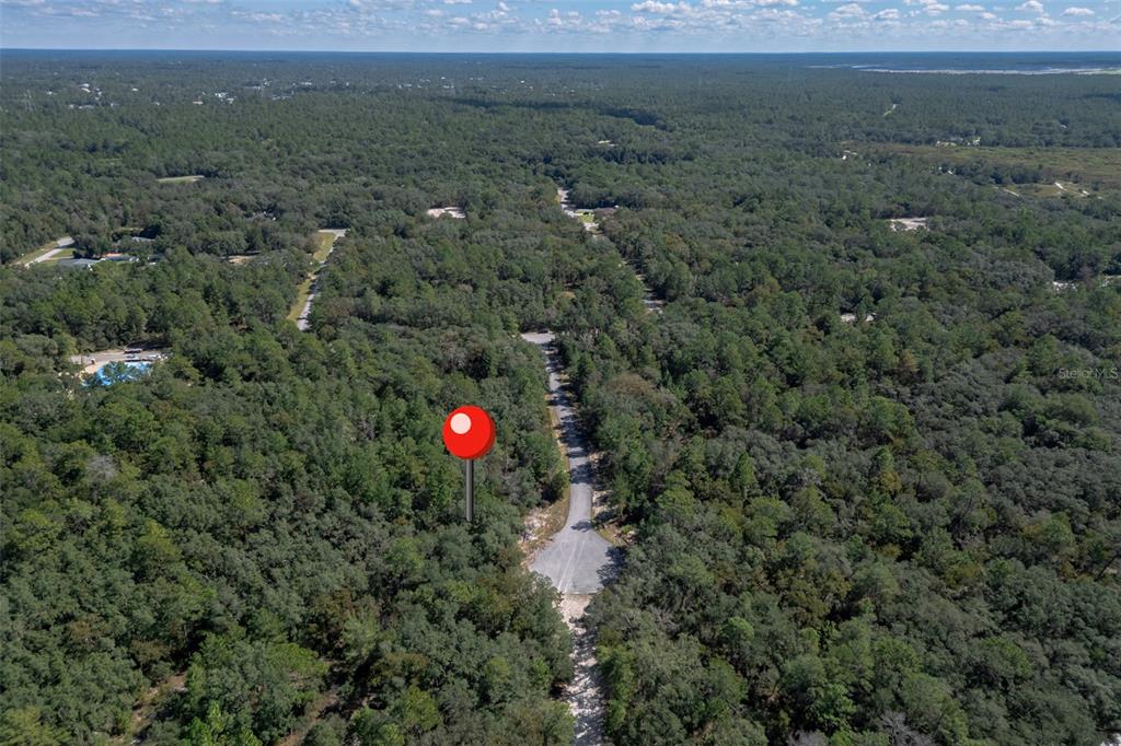 An aerial view shows a red map pin marking a wooded lot along a road — 0000 SW 174 STREET, OCALA, FL