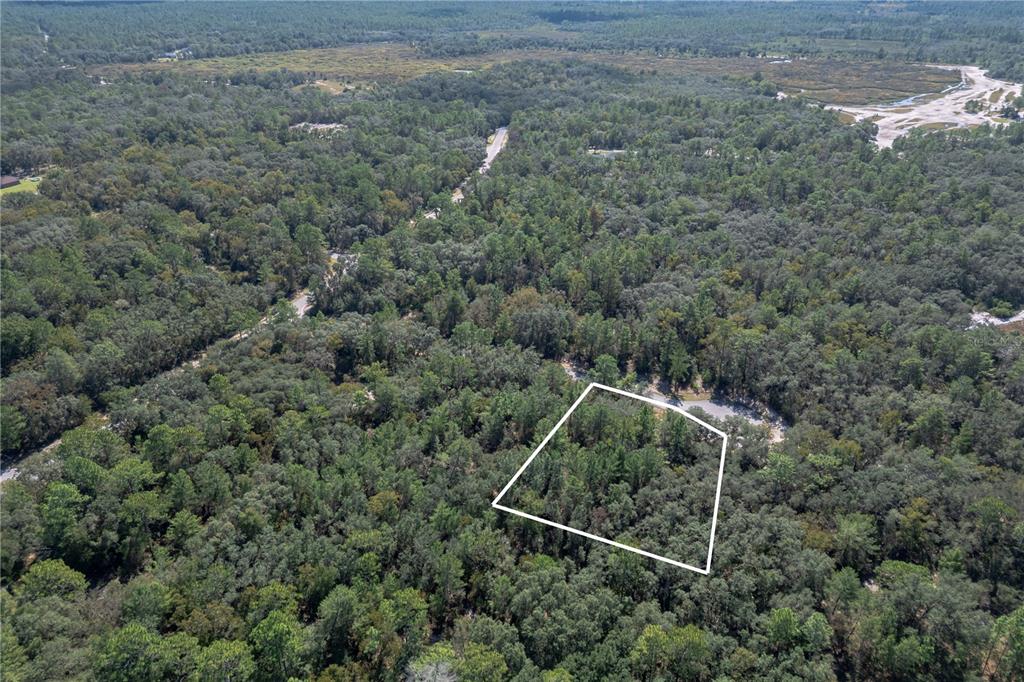An aerial view shows a rectangular plot of land outlined in white amidst a dense forest — 0000 SW 174 STREET, OCALA, FL