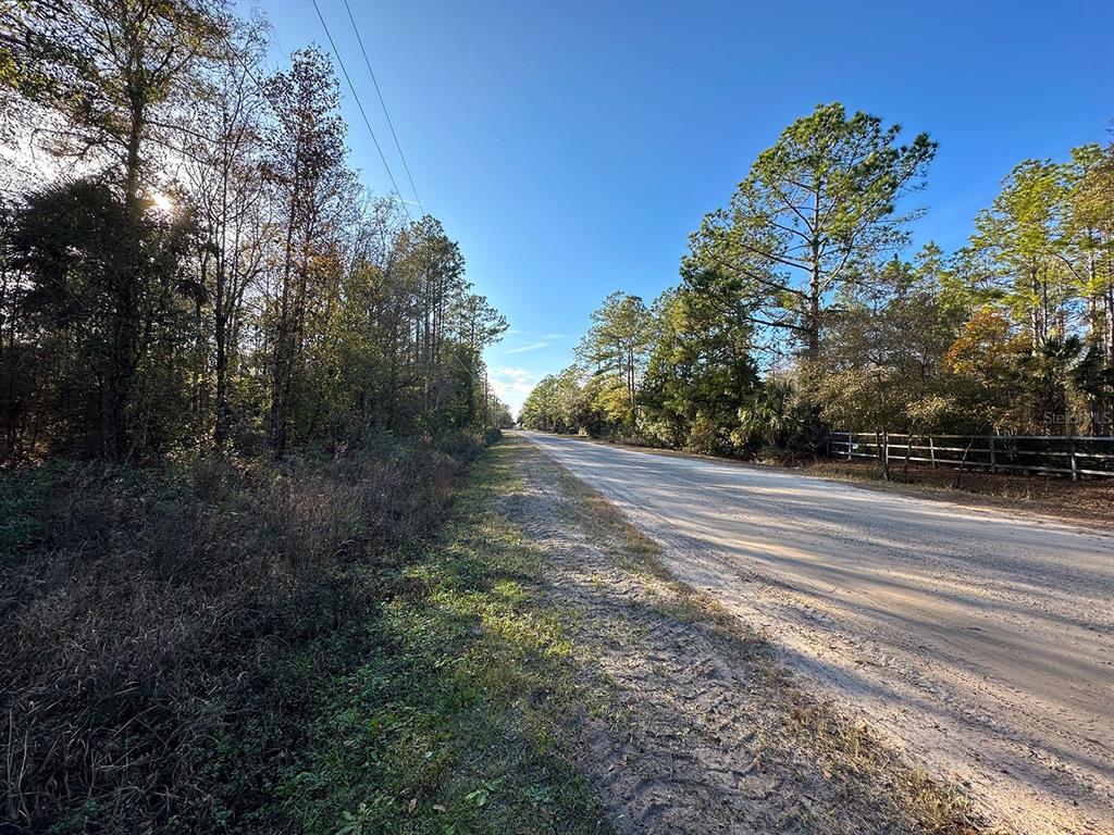 A dirt road runs between a wooded area and a fenced property under a clear sky — Lot 428 DIVISION STREET, HASTINGS, FL