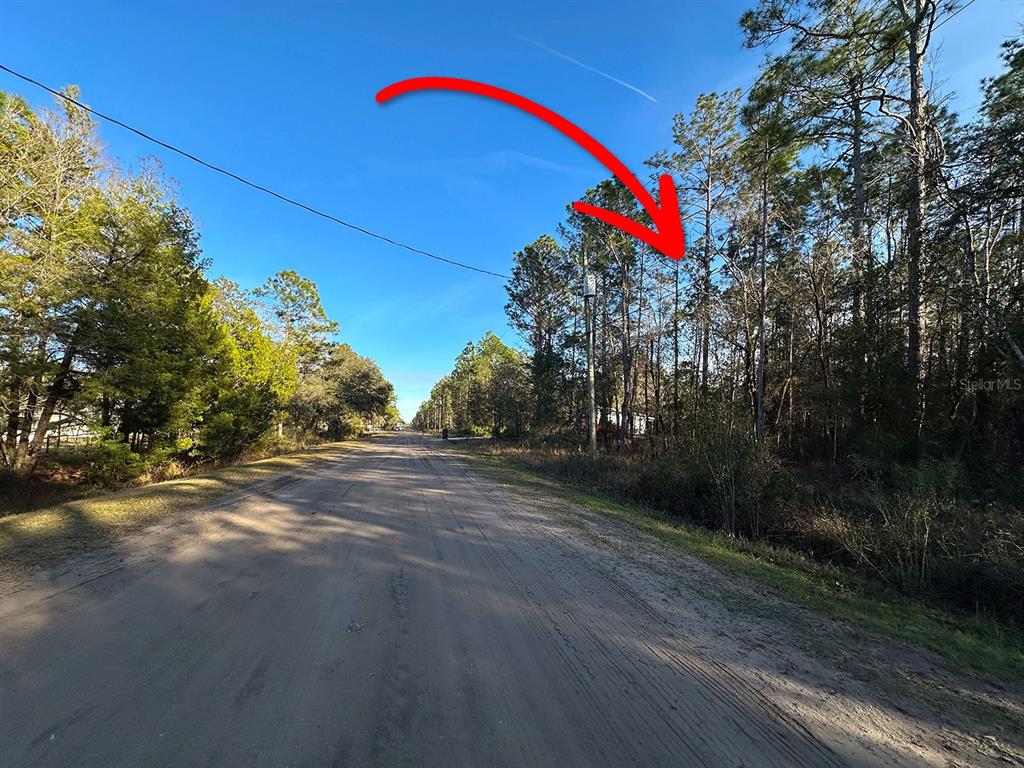 A dirt road runs alongside a wooded lot with a utility pole and overhead lines — Lot 428 DIVISION STREET, HASTINGS, FL