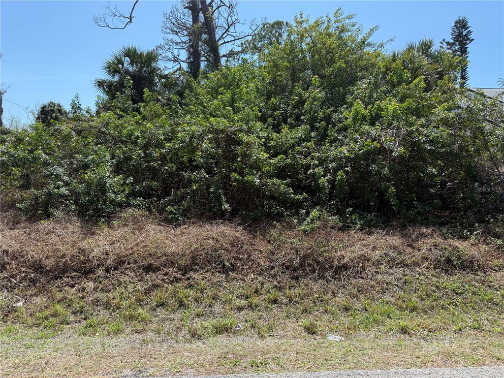 A dense, overgrown lot with thick green shrubs and dry brush under a blue sky — LEACH STREET, ENGLEWOOD, FL