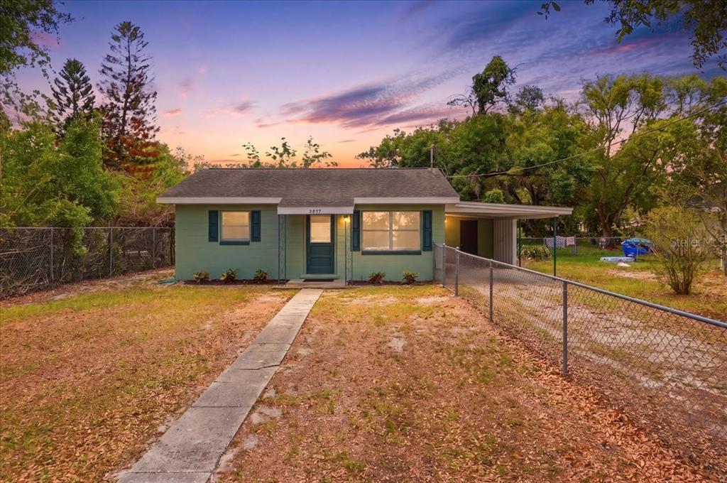 2437 JUNGLE STREET