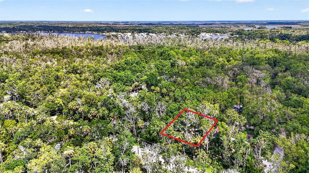 An aerial view shows a wooded lot outlined in red near a body of water — 4626 S FLAMBEAU LOOP, HOMOSASSA, FL