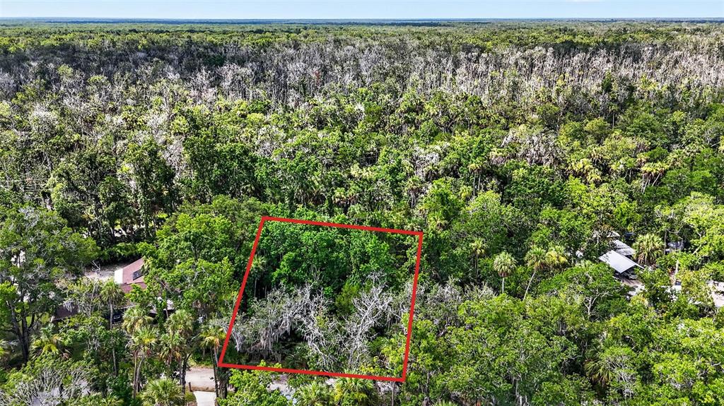 An aerial view shows a rectangular plot of land outlined in red amidst dense forest — 4626 S FLAMBEAU LOOP, HOMOSASSA, FL