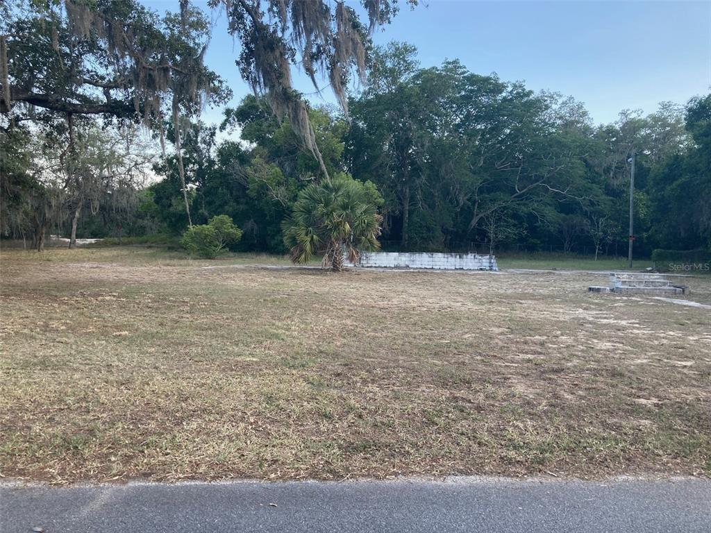A vacant, grassy lot features a single palm tree and a low concrete block wall — 2830 LAUREL AVENUE, LAKE WALES, FL