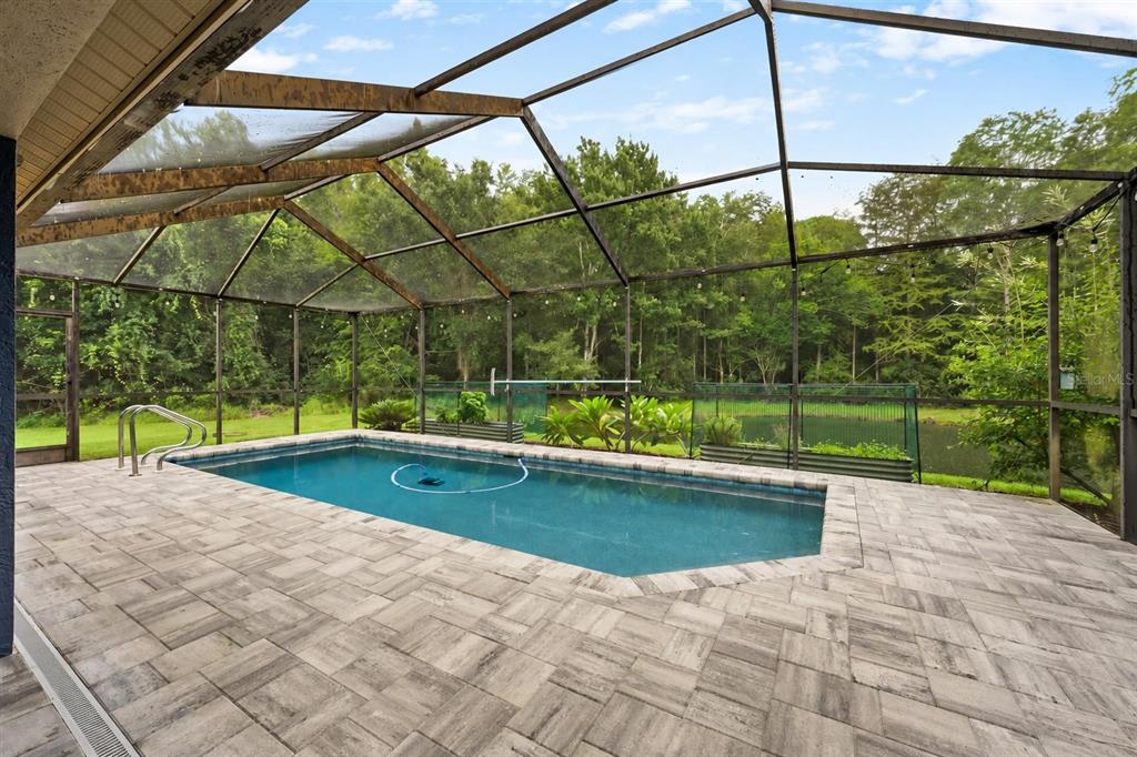 3600 DARSTON STREET, PALM HARBOR, FL — photo 3 of 30