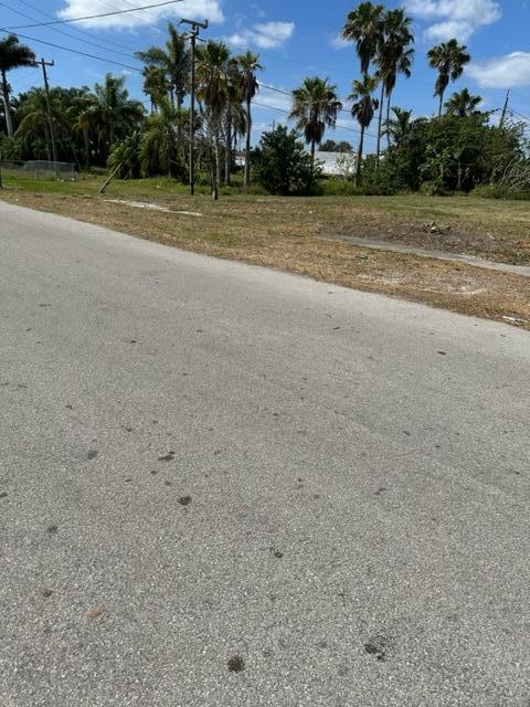 A paved road leads to a vacant, grassy lot with several palm trees under a sky — 501 W Baines Terrace, Pahokee FL 33476, PAHOKEE, FL