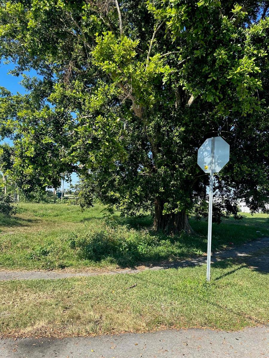 A large tree stands on a grassy lot next to a blank metal stop sign — 501 W Baines Terrace, Pahokee FL 33476, PAHOKEE, FL