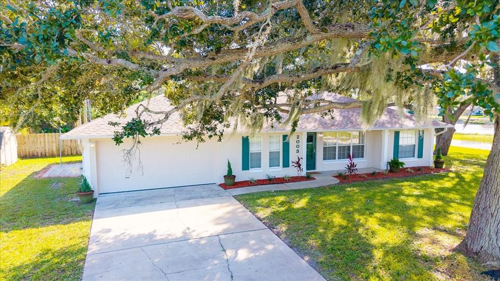 2003 KUMQUAT DRIVE
