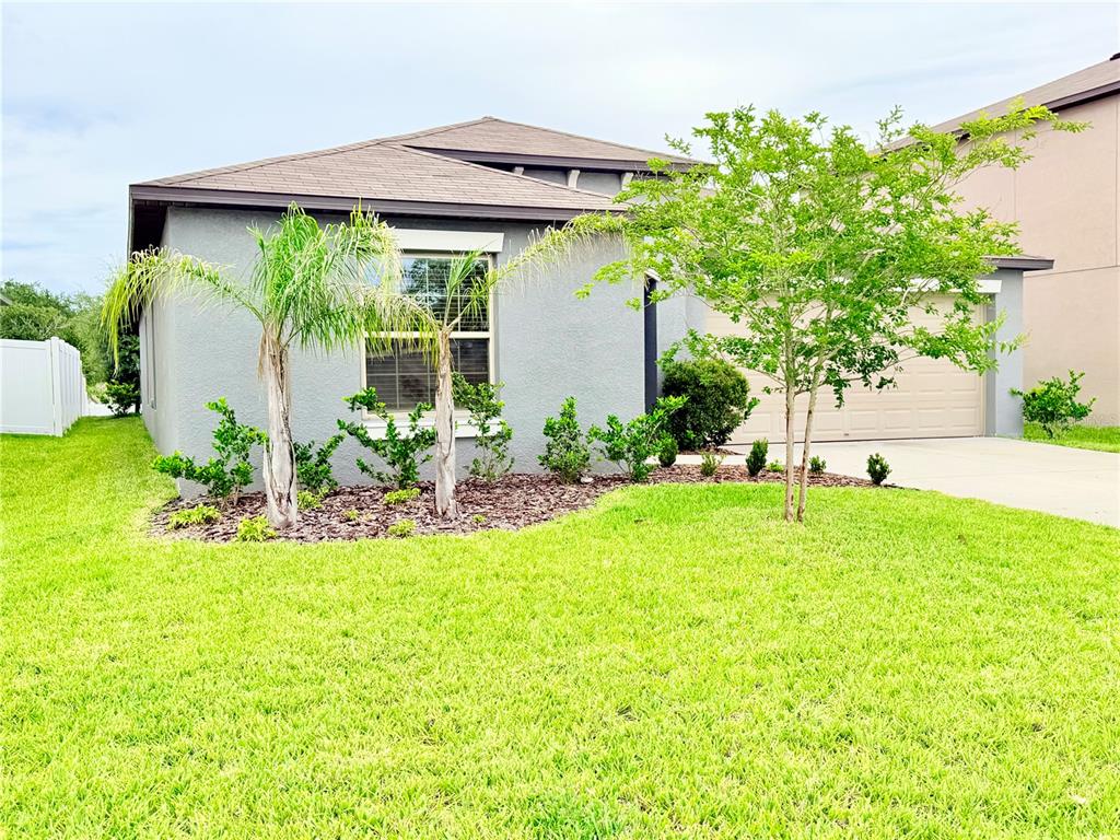 A gray single-story house with a tan garage, palm trees, and a landscaped front yard — 184 ARGYLL DRIVE, SPRING HILL, FL