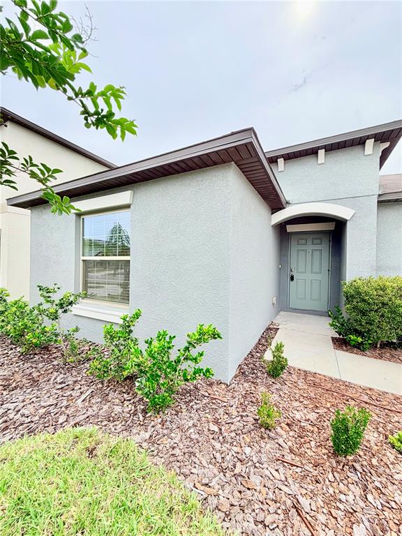 A light gray stucco house exterior features a front door and a single window — 184 ARGYLL DRIVE, SPRING HILL, FL