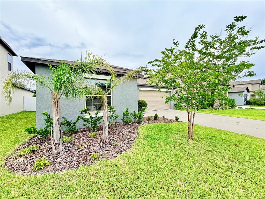 A single-story house exterior with a gray facade, palm trees, and a concrete driveway — 184 ARGYLL DRIVE, SPRING HILL, FL