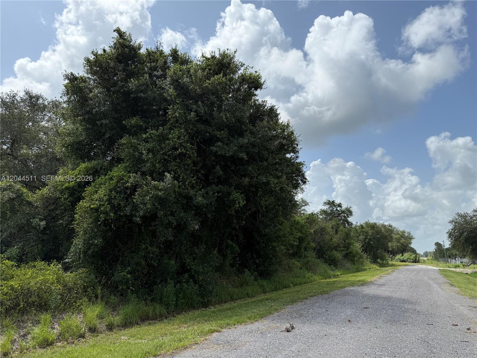 A gravel road runs alongside a large, dense tree and grassy area under a cloudy sky — 625 N GRANJA ST, Clewiston FL 33440, CLEWISTON, FL