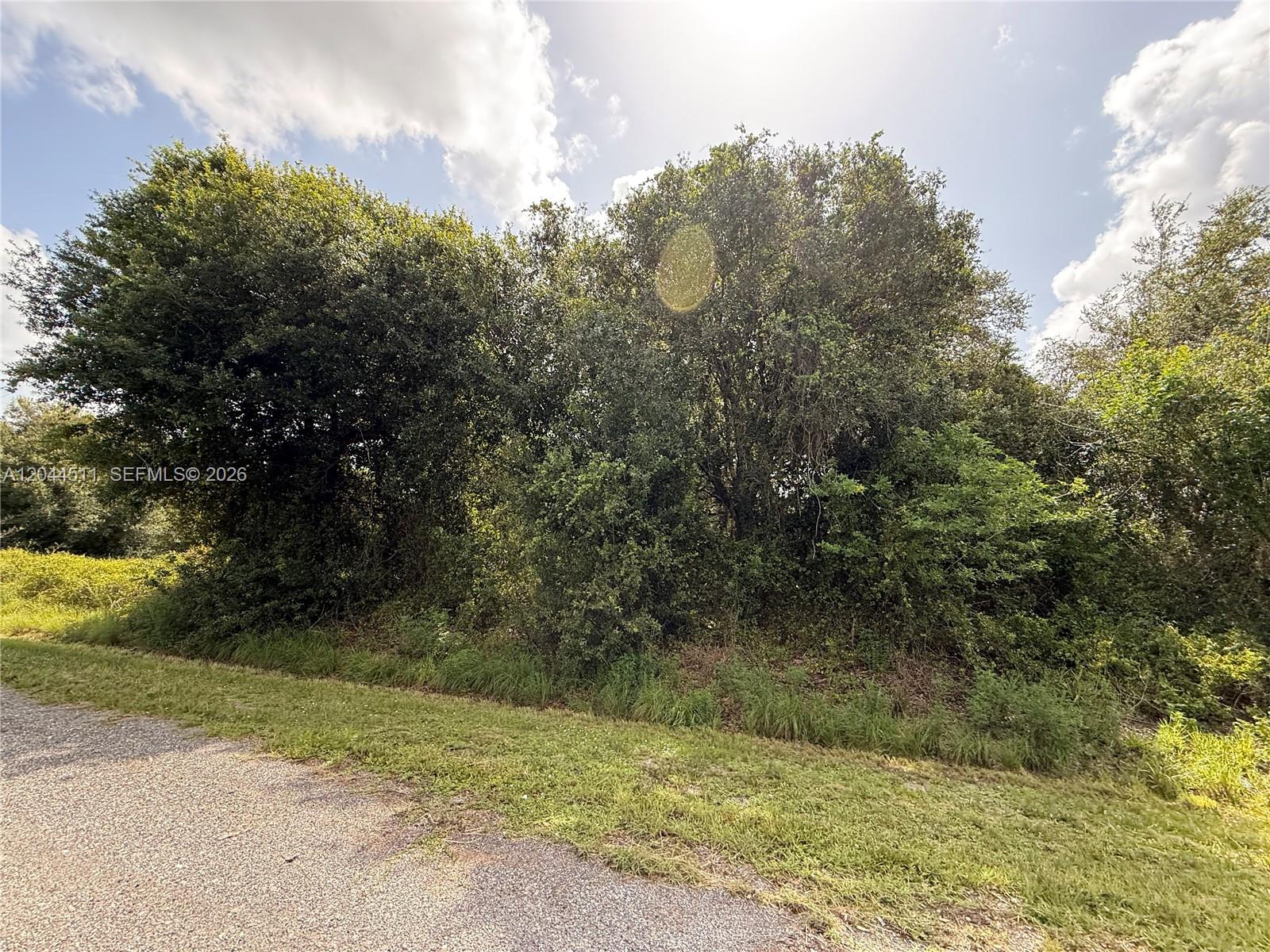 A paved road borders a grassy area leading to a dense stand of mature trees — 625 N GRANJA ST, Clewiston FL 33440, CLEWISTON, FL