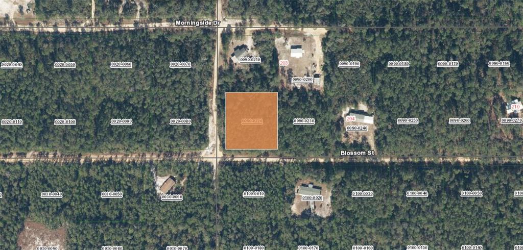 This aerial map shows a highlighted rectangular land parcel located at a street intersection — XX BLOSSOM, FLORAHOME, FL