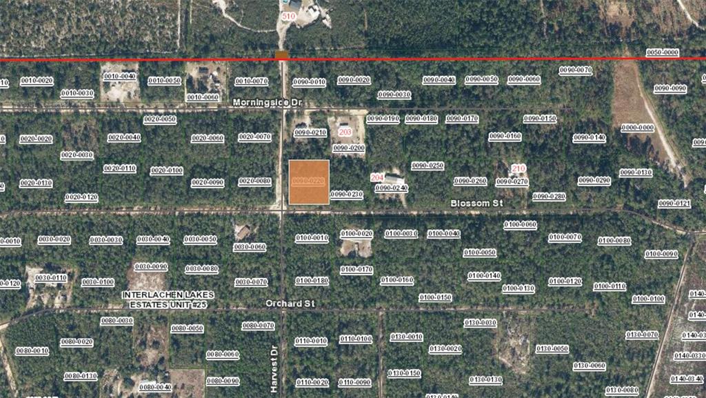 This is a satellite map showing a grid of land parcels in a wooded area — XX BLOSSOM, FLORAHOME, FL
