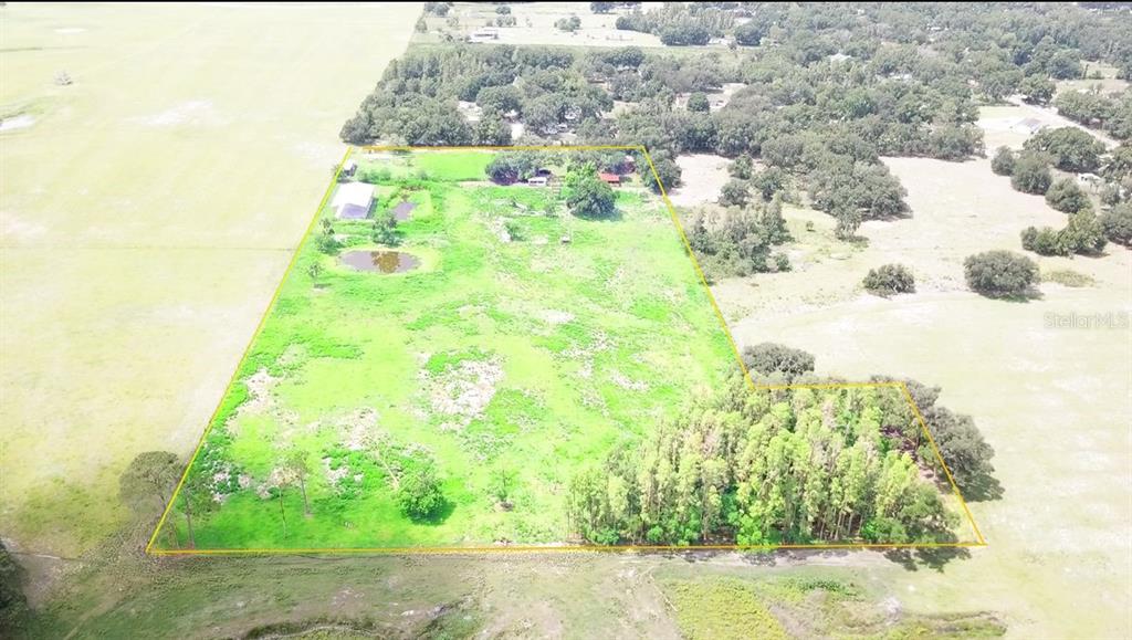 An aerial view shows a large, grassy rural lot outlined in yellow with scattered trees — 8206 BACK ROAD, PLANT CITY, FL
