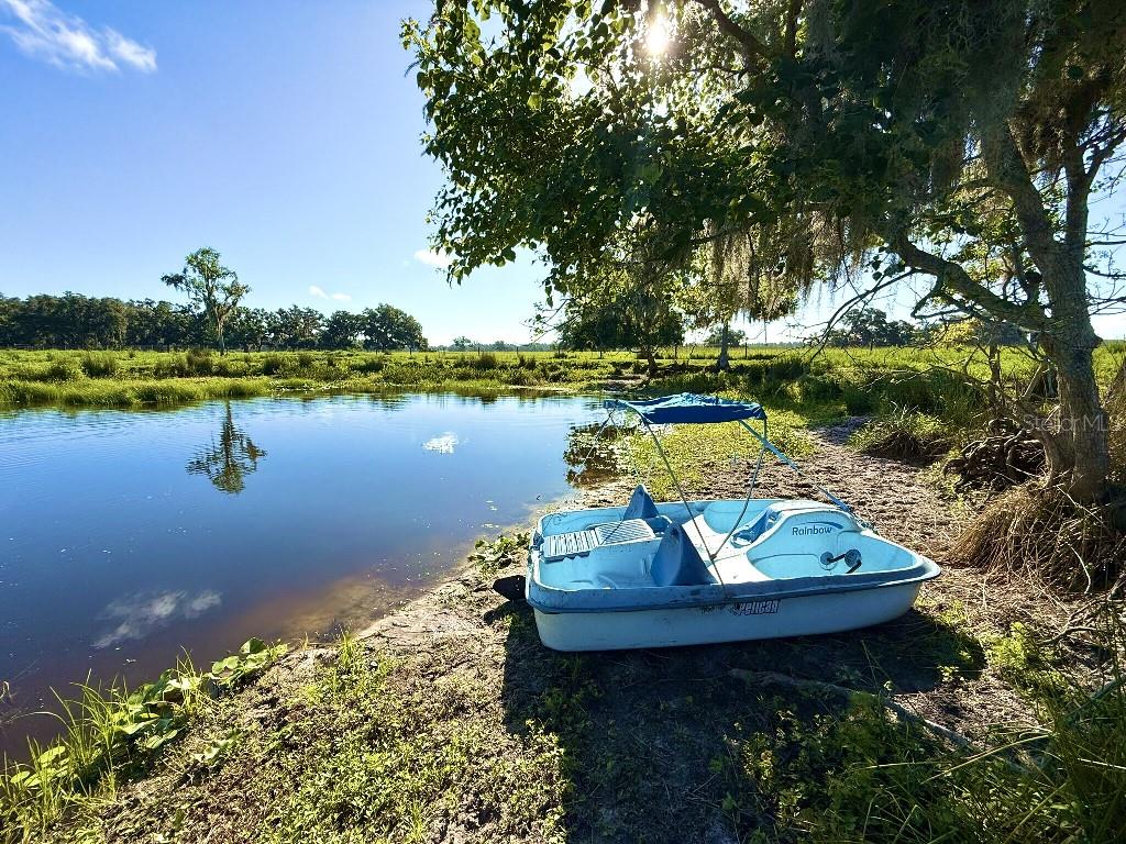 A light blue pedal boat sits on the grassy bank of a pond under trees — 8206 BACK ROAD, PLANT CITY, FL