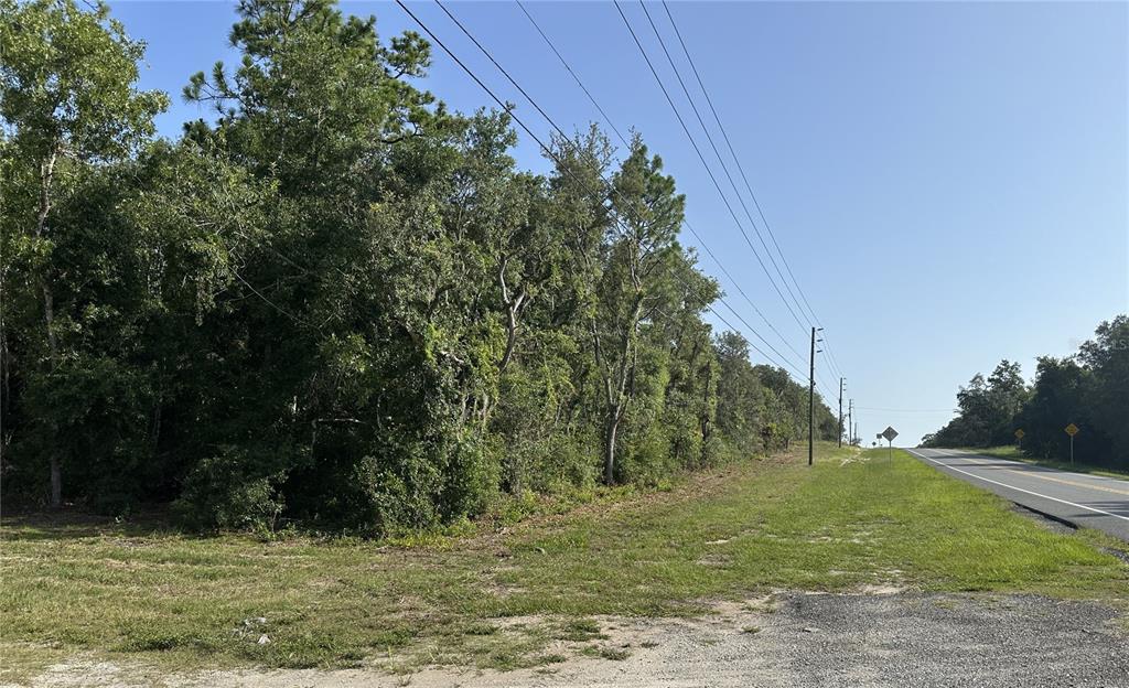 A wooded lot sits adjacent to a paved road with utility poles along the edge — 11274 S FLORIDA AVENUE, FLORAL CITY, FL