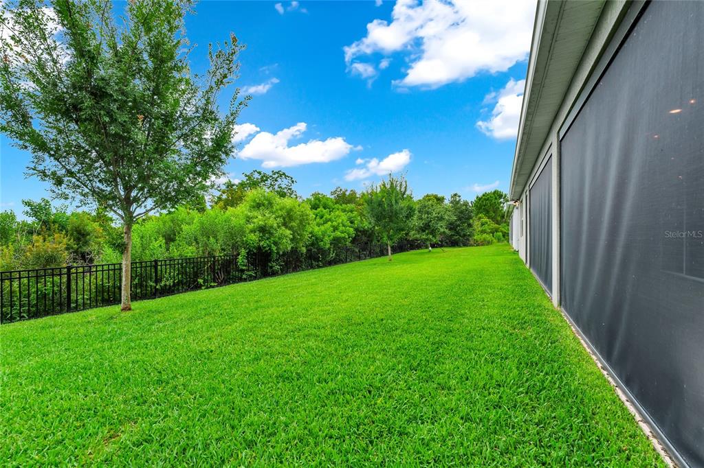 A grassy backyard features a black metal fence, mature trees, and a screened-in patio area — 2314 NUTHATCH STREET, ST CLOUD, FL