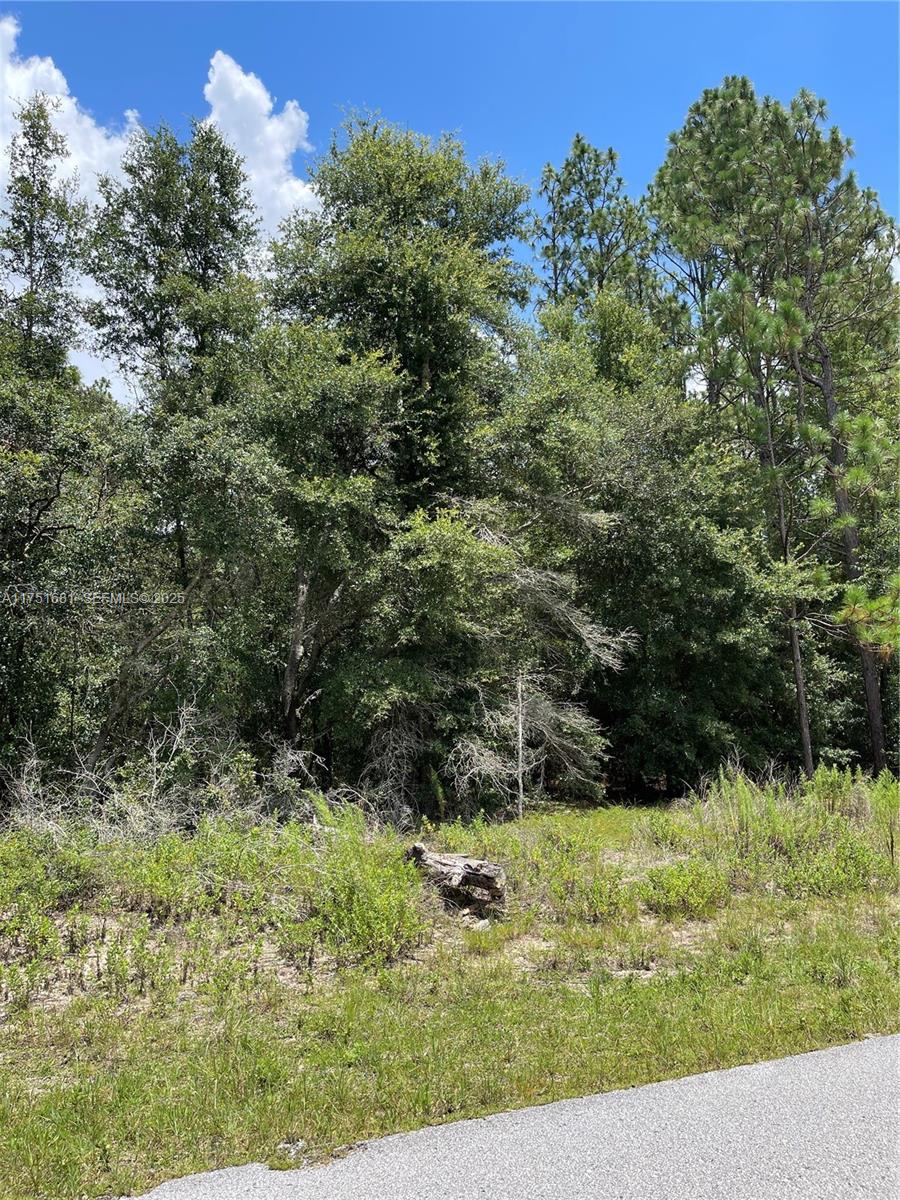 tbd SW 59th LN, Other City - In The State Of Florida FL 34431