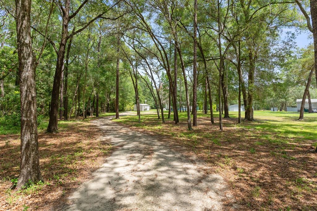 A dirt driveway winds through a wooded lot toward several small outbuildings in the distance — 18303 SW 27TH STREET, DUNNELLON, FL