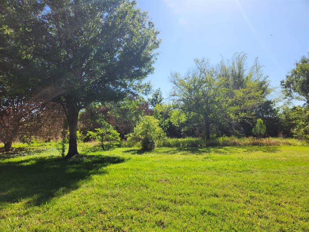 A grassy yard features several large trees under a bright, clear blue sky — 3898 & 3910 W WASHINGTON STREET, ORLANDO, FL