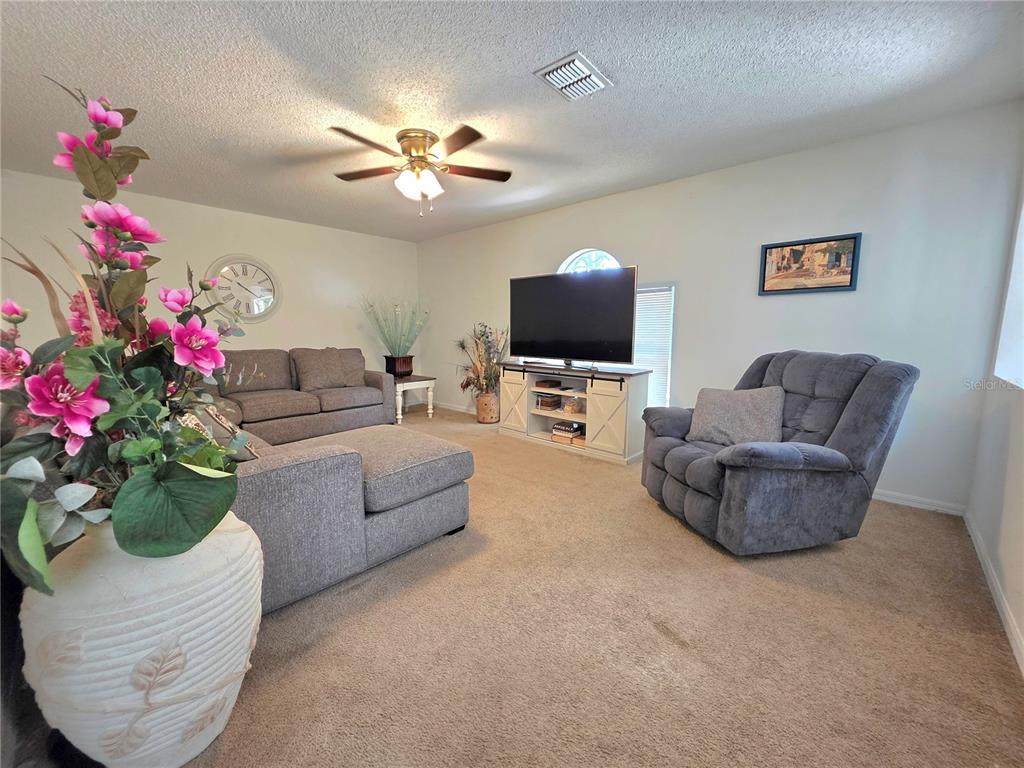 A living room features carpeted flooring, a ceiling fan, a television, and gray furniture — 9055 PEMBERTON STREET, SPRING HILL, FL