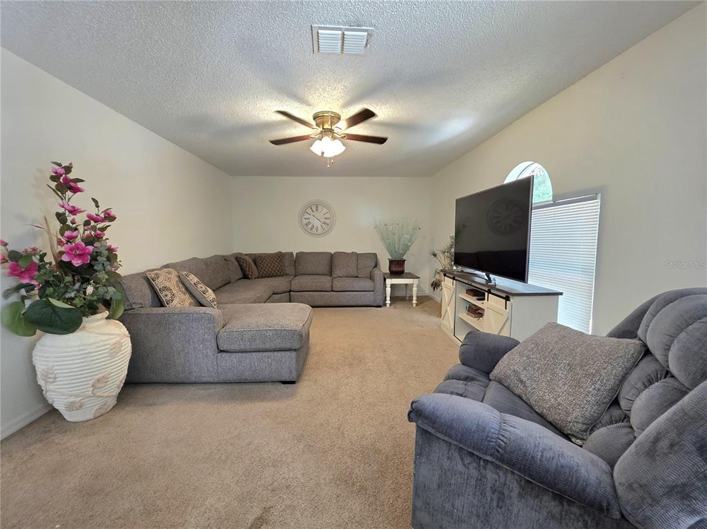 A living room features a large sectional sofa, a television on a stand, and carpeted flooring — 9055 PEMBERTON STREET, SPRING HILL, FL
