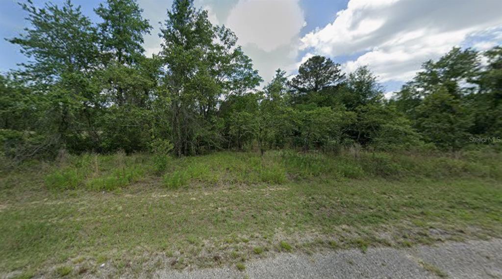 A view of a vacant, wooded lot covered in grass and dense trees — 7813 N CEDRO ROAD, DUNNELLON, FL