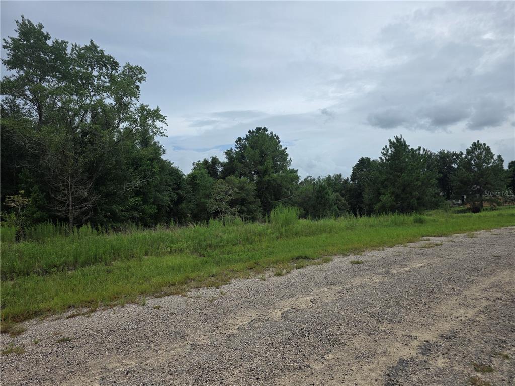 A gravel road borders a grassy, wooded lot under a cloudy sky — 7813 N CEDRO ROAD, DUNNELLON, FL