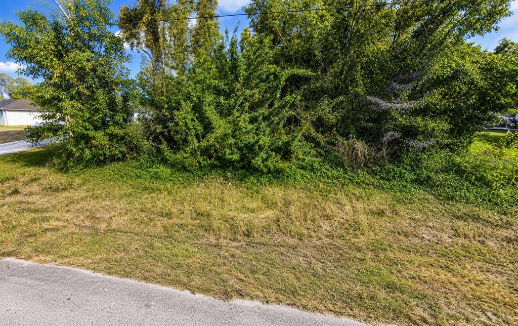 A grassy lot sits in front of a dense thicket of trees and bushes — 5545 BELROSE STREET, LEHIGH ACRES, FL