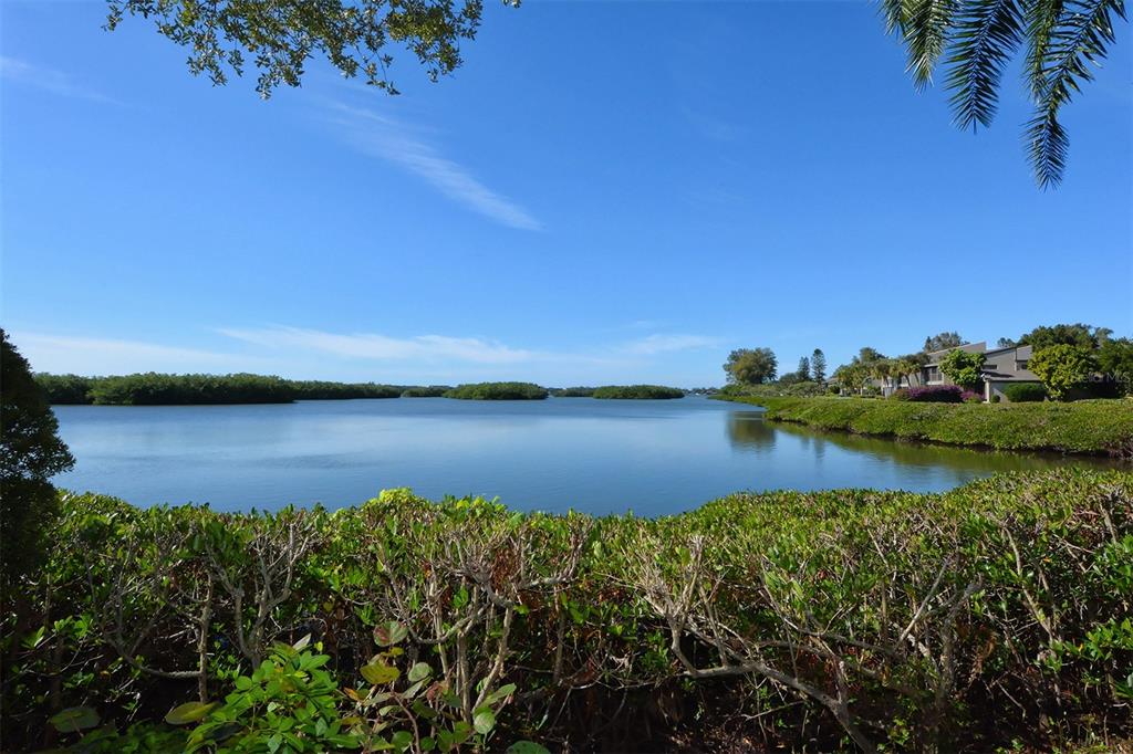 A view of a calm bay with mangrove islands and residential buildings on the shore — 1712 GLENHOUSE DRIVE UNIT GL418, SARASOTA, FL