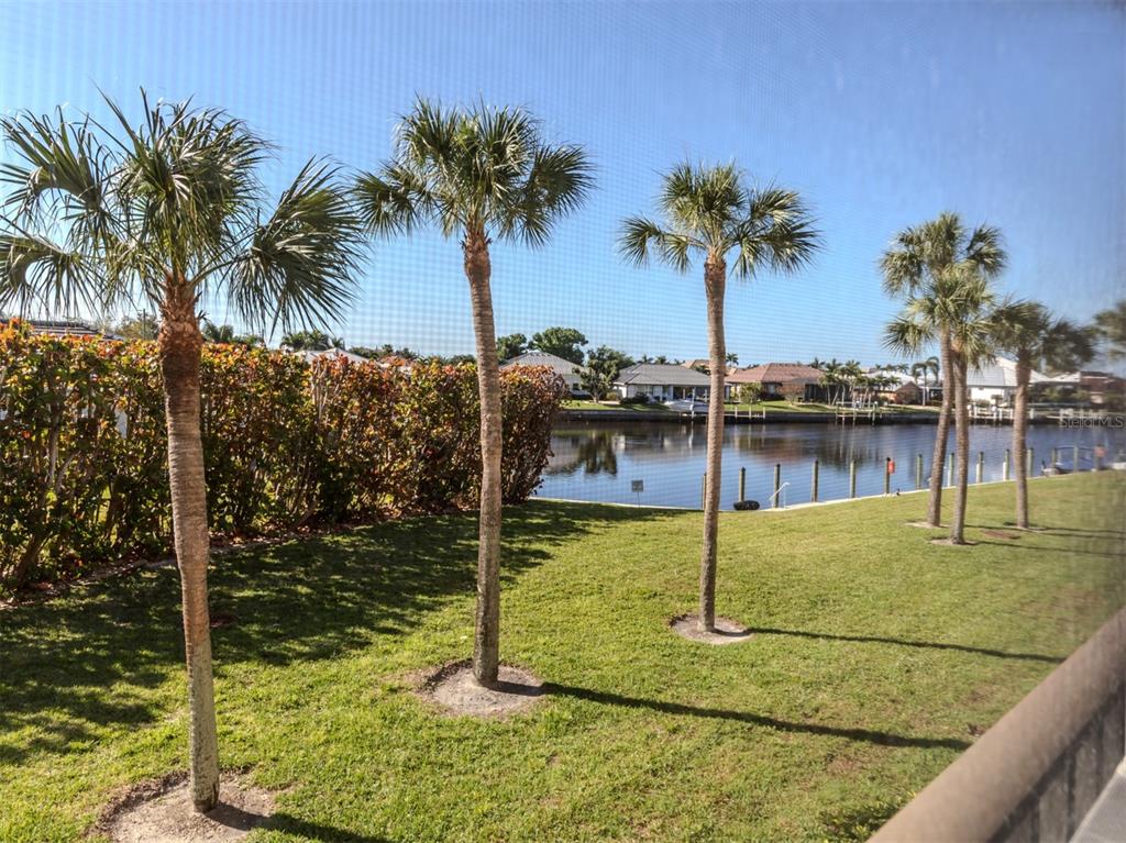 A view of a grassy backyard with palm trees and a canal from behind a screen — 601 SHREVE STREET UNIT 51B, PUNTA GORDA, FL