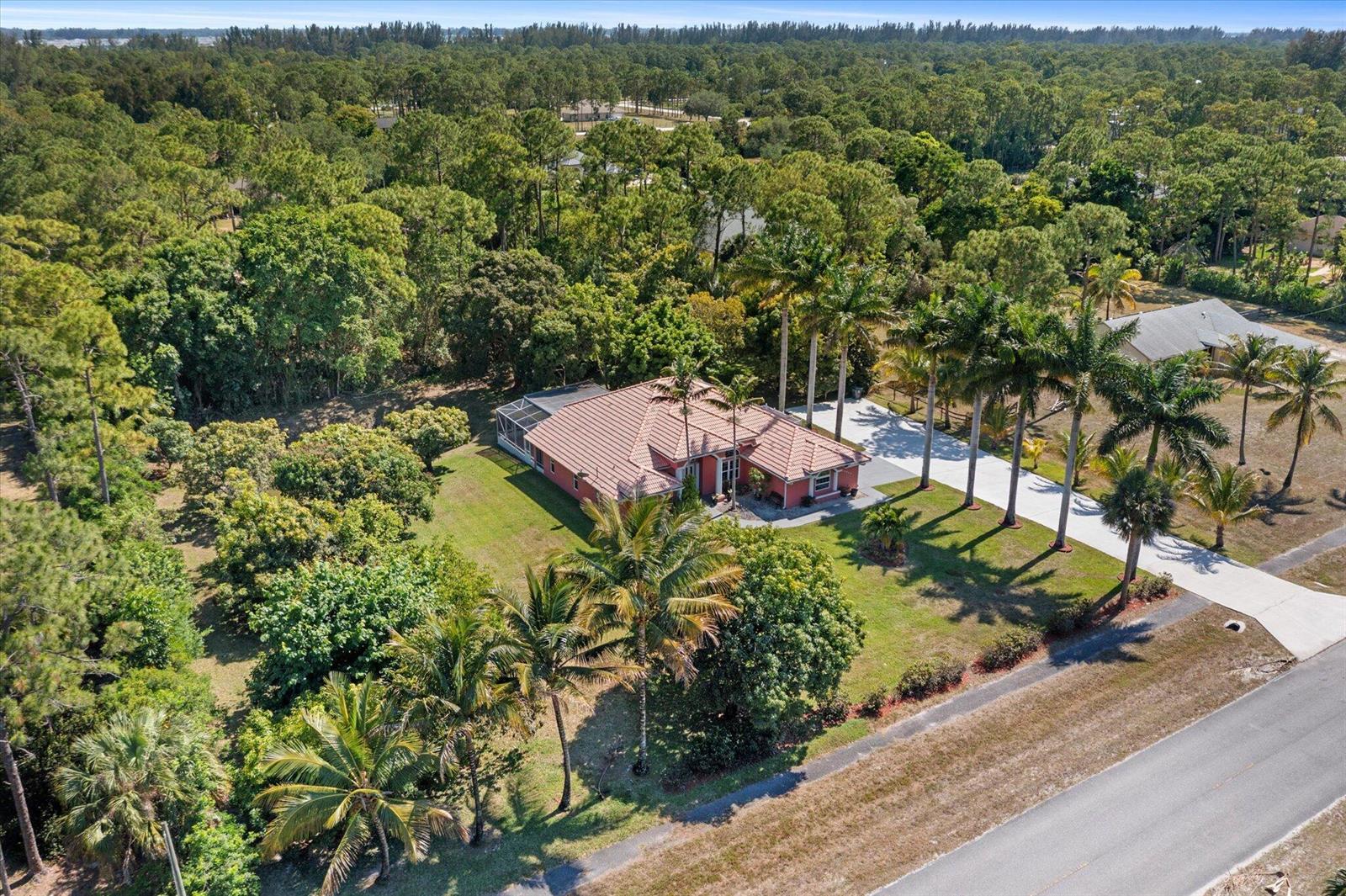 An aerial view shows a single-story house with a tiled roof surrounded by lush trees — 14844 Tangerine Boulevard, FL 33470, FL