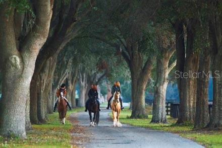 Three people ride horses down a tree-lined dirt path on a rural property — 0 SE 8TH AVENUE, OCALA, FL