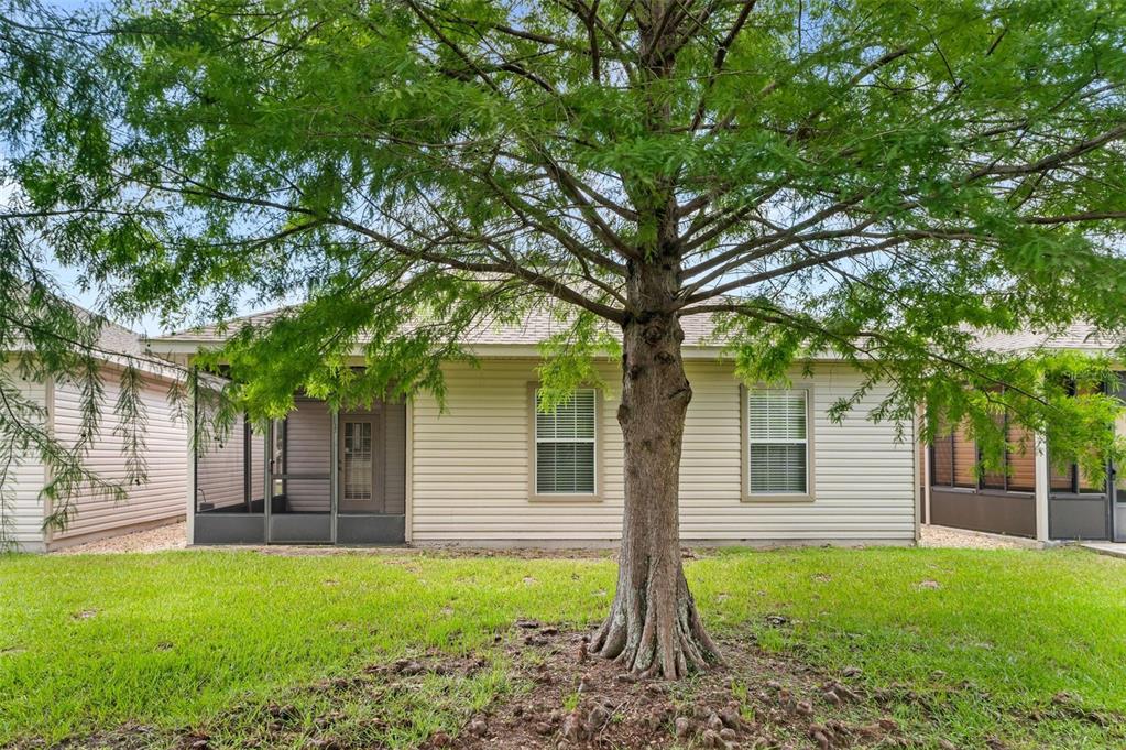 The exterior rear view of a house features a screened-in porch and a large tree — 4912 NW 79TH ROAD, GAINESVILLE, FL