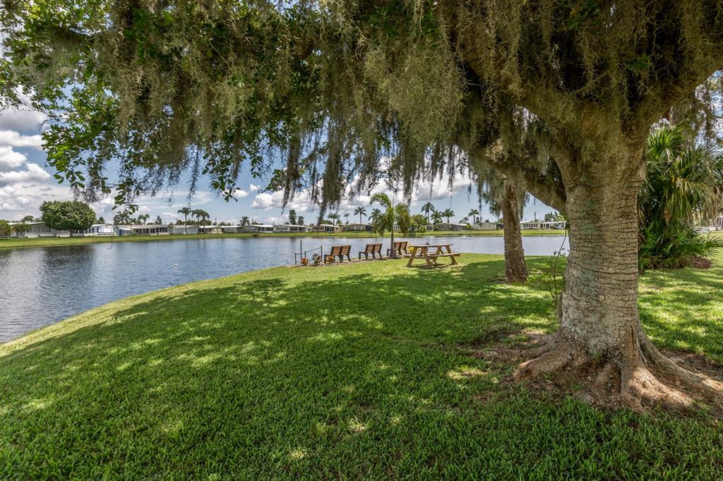 A large tree with Spanish moss overlooks a grassy lawn, a pond, and distant houses — 97 LAKEVIEW DRIVE, NORTH PORT, FL